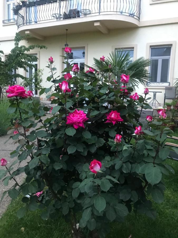 Aurelia Rooms Mostar Exterior foto