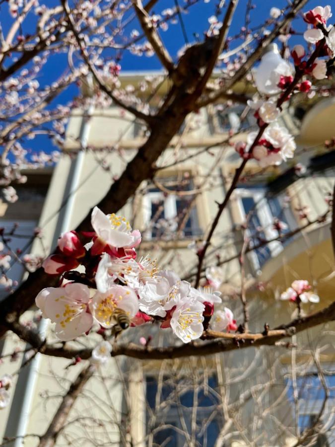 Aurelia Rooms Mostar Exterior foto