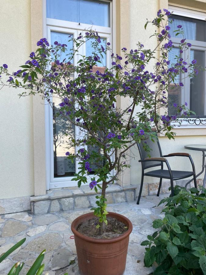 Aurelia Rooms Mostar Exterior foto